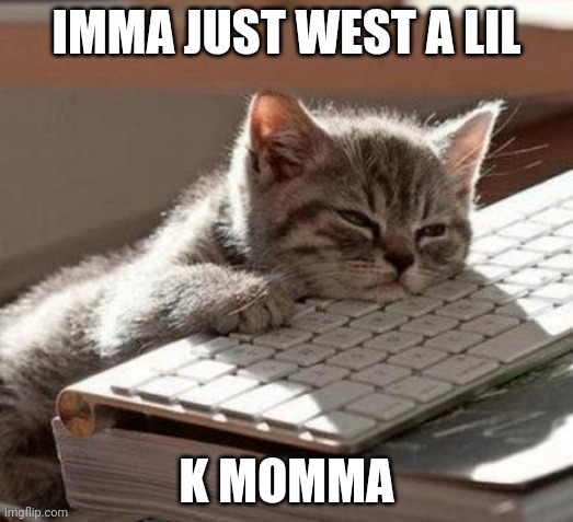 tired cat | IMMA JUST WEST A LIL; K MOMMA | image tagged in tired cat | made w/ Imgflip meme maker