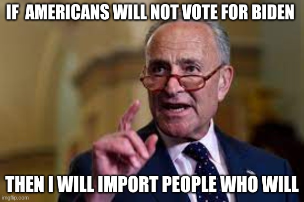 good ole chuck | IF  AMERICANS WILL NOT VOTE FOR BIDEN; THEN I WILL IMPORT PEOPLE WHO WILL | image tagged in chuck shumer,politics,trump 2020,funny | made w/ Imgflip meme maker