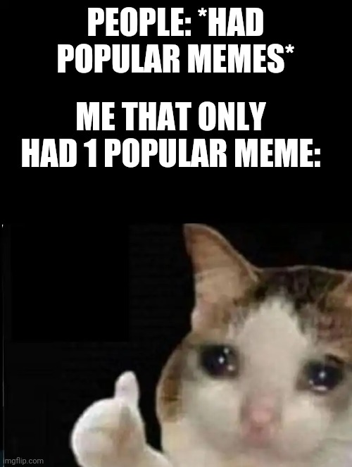I only had 1 popular meme.... | PEOPLE: *HAD POPULAR MEMES*; ME THAT ONLY HAD 1 POPULAR MEME: | image tagged in cat ok | made w/ Imgflip meme maker