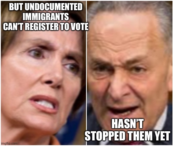 Chuck Schumer & Nancy Pelosi | BUT UNDOCUMENTED IMMIGRANTS CAN’T REGISTER TO VOTE HASN’T STOPPED THEM YET | image tagged in chuck schumer nancy pelosi | made w/ Imgflip meme maker
