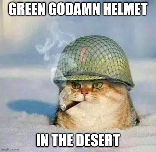 War Cat |  GREEN GODAMN HELMET; IN THE DESERT | image tagged in war cat | made w/ Imgflip meme maker