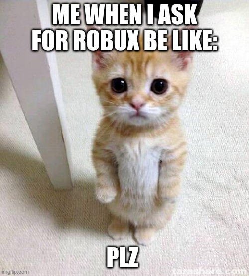 Cute Cat Meme |  ME WHEN I ASK FOR ROBUX BE LIKE:; PLZ | image tagged in memes,cute cat | made w/ Imgflip meme maker