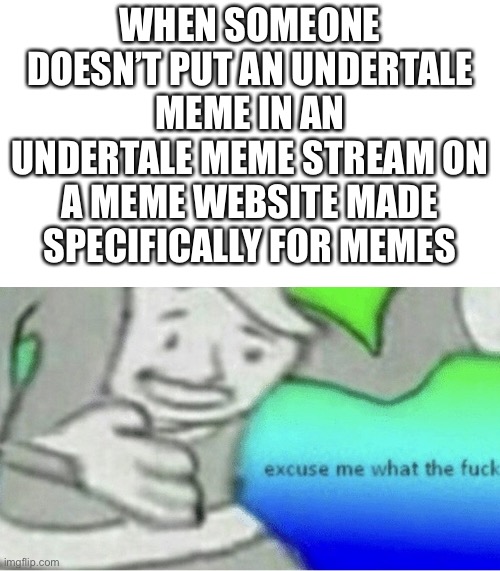 Excuse me wtf blank template | WHEN SOMEONE DOESN’T PUT AN UNDERTALE MEME IN AN UNDERTALE MEME STREAM ON A MEME WEBSITE MADE SPECIFICALLY FOR MEMES | image tagged in excuse me wtf blank template | made w/ Imgflip meme maker