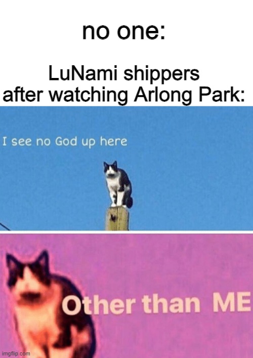 no one:; LuNami shippers after watching Arlong Park: | image tagged in blank white template,hail pole cat | made w/ Imgflip meme maker