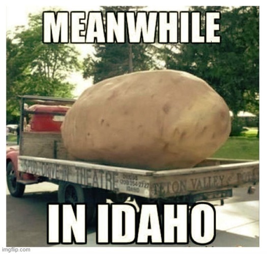 Man I though I seen A big potato before, guess not. | image tagged in lol,idaho,potato,memes | made w/ Imgflip meme maker