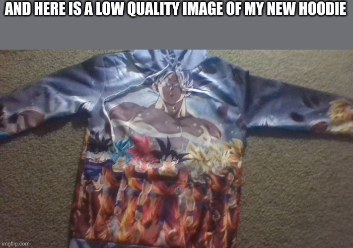 AND HERE IS A LOW QUALITY IMAGE OF MY NEW HOODIE | made w/ Imgflip meme maker