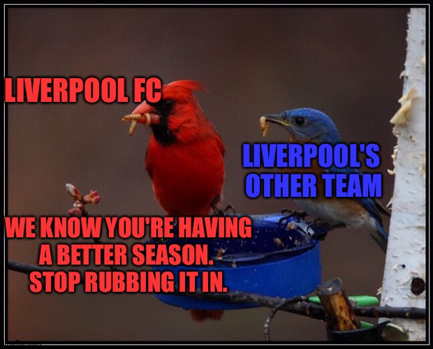 Sports awwwww | LIVERPOOL FC; LIVERPOOL'S 
OTHER TEAM; WE KNOW YOU'RE HAVING
 A BETTER SEASON.  
STOP RUBBING IT IN. | image tagged in red and blue birds | made w/ Imgflip meme maker