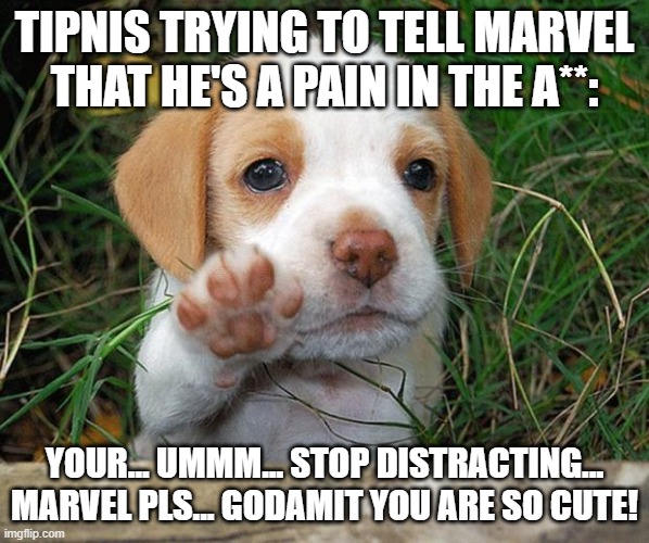 dog puppy bye | TIPNIS TRYING TO TELL MARVEL THAT HE'S A PAIN IN THE A**:; YOUR... UMMM... STOP DISTRACTING... MARVEL PLS... GODAMIT YOU ARE SO CUTE! | image tagged in dog puppy bye | made w/ Imgflip meme maker