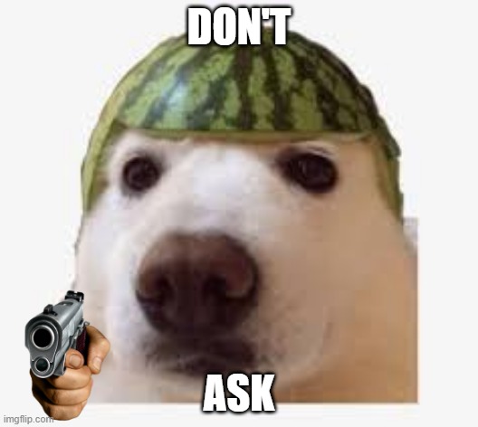 IDK | DON'T; ASK | image tagged in idk,what | made w/ Imgflip meme maker