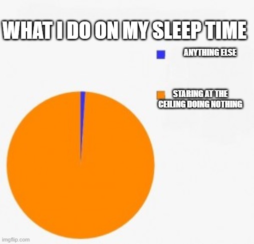 pie chart/ percentage | ANYTHING ELSE STARING AT THE CEILING DOING NOTHING WHAT I DO ON MY SLEEP TIME | image tagged in pie chart/ percentage | made w/ Imgflip meme maker