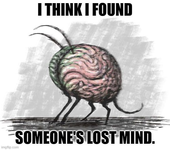 lost mind | I THINK I FOUND SOMEONE'S LOST MIND. | image tagged in lost mind | made w/ Imgflip meme maker