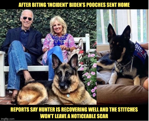 Biden's dogs | image tagged in does he bite | made w/ Imgflip meme maker