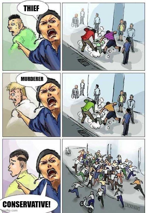 Thief Murderer | THIEF MURDERER CONSERVATIVE! | image tagged in thief murderer | made w/ Imgflip meme maker