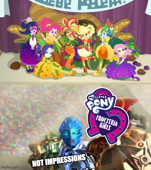 Toa are not impressed | NOT IMPRESSIONS | image tagged in picture brides,equestria girls,bionicle | made w/ Imgflip meme maker