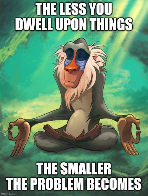 Rafiki wisdom | THE LESS YOU DWELL UPON THINGS; THE SMALLER THE PROBLEM BECOMES | image tagged in rafiki wisdom,memes,zen | made w/ Imgflip meme maker