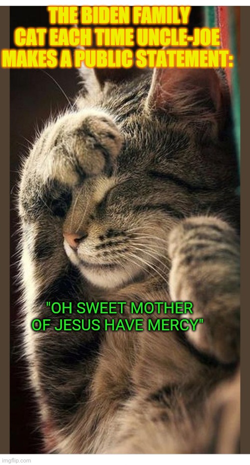 God help us all... | THE BIDEN FAMILY CAT EACH TIME UNCLE-JOE MAKES A PUBLIC STATEMENT:; "OH SWEET MOTHER OF JESUS HAVE MERCY" | image tagged in joe biden worries,dementia,creepy dude,libtard | made w/ Imgflip meme maker