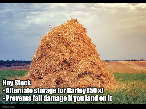 Hay Stack
- Alternate storage for Barley (50 x) 
- Prevents fall damage if you land on it | image tagged in valheim | made w/ Imgflip meme maker