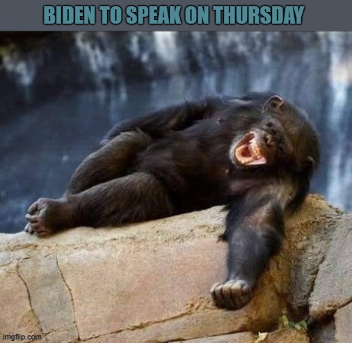Biden | BIDEN TO SPEAK ON THURSDAY | image tagged in biden,joe biden,chimp,chimpanzee | made w/ Imgflip meme maker