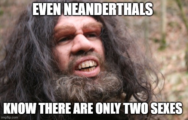neanderthal | EVEN NEANDERTHALS; KNOW THERE ARE ONLY TWO SEXES | image tagged in neanderthal | made w/ Imgflip meme maker