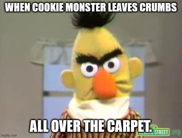 Sesame Street - Angry Bert | WHEN COOKIE MONSTER LEAVES CRUMBS; ALL OVER THE CARPET. | image tagged in sesame street - angry bert | made w/ Imgflip meme maker