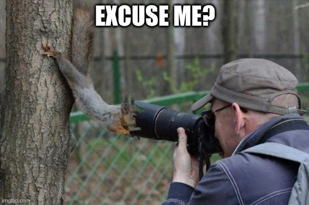 Jehovas Witness Squirrel Meme | EXCUSE ME? | image tagged in memes,jehovas witness squirrel | made w/ Imgflip meme maker