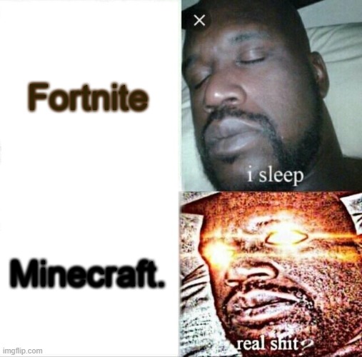 Sleeping Shaq | Fortnite; Minecraft. | image tagged in memes,sleeping shaq | made w/ Imgflip meme maker