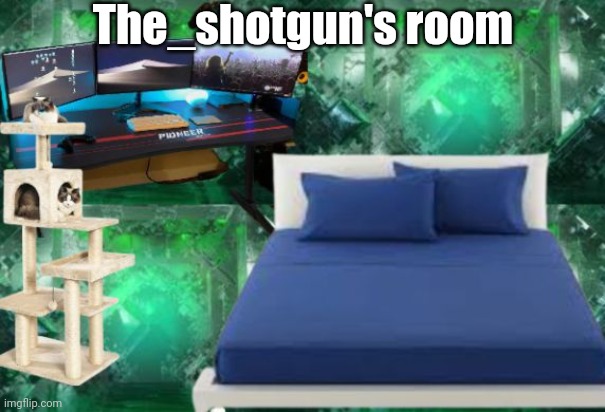Hotel room | The_shotgun's room | image tagged in hotel room | made w/ Imgflip meme maker