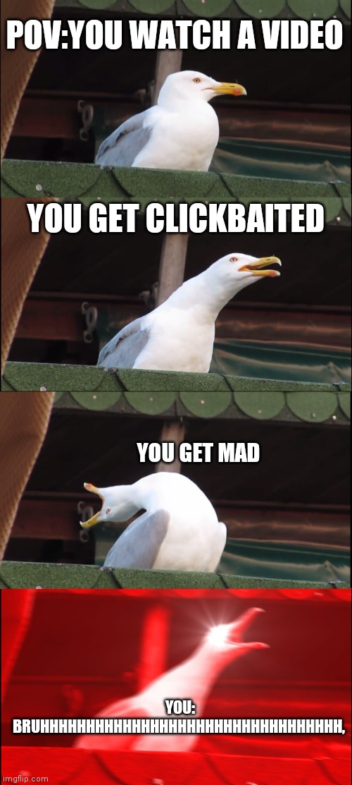 Inhaling Seagull Meme | POV:YOU WATCH A VIDEO; YOU GET CLICKBAITED; YOU GET MAD; YOU: BRUHHHHHHHHHHHHHHHHHHHHHHHHHHHHHHHHH, | image tagged in memes,inhaling seagull | made w/ Imgflip meme maker