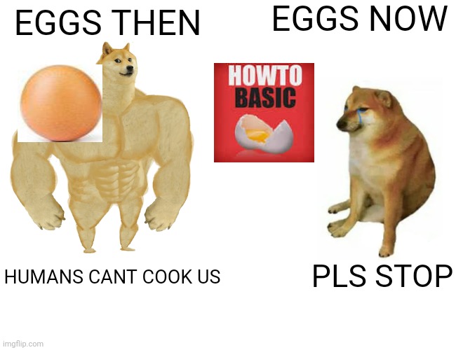 Buff Doge vs. Cheems | EGGS NOW; EGGS THEN; PLS STOP; HUMANS CANT COOK US | image tagged in memes,buff doge vs cheems | made w/ Imgflip meme maker