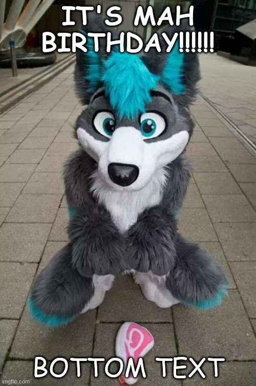 GOOD MORNING TO A BIRTHDAY! | IT'S MAH BIRTHDAY!!!!!! BOTTOM TEXT | image tagged in furry | made w/ Imgflip meme maker