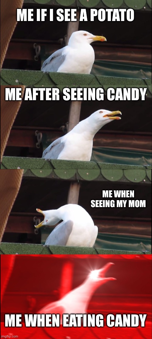 Inhaling Seagull | ME IF I SEE A POTATO; ME AFTER SEEING CANDY; ME WHEN SEEING MY MOM; ME WHEN EATING CANDY | image tagged in memes,inhaling seagull | made w/ Imgflip meme maker