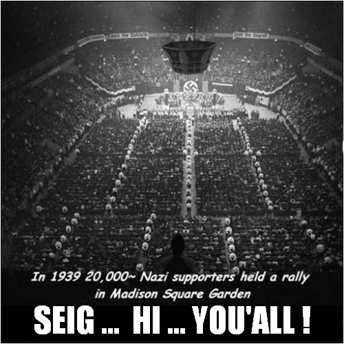 Where Are They Now ? | SEIG ...  HI ... YOU'ALL ! | image tagged in american,nazis,rally,dark humour | made w/ Imgflip meme maker