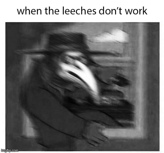 ayo.......THE LEECHES DONT WOOORRRKKK! | image tagged in plague doctor | made w/ Imgflip meme maker