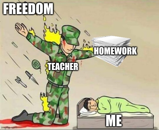 Soldier protecting sleeping child | FREEDOM; HOMEWORK; TEACHER; ME | image tagged in soldier protecting sleeping child | made w/ Imgflip meme maker