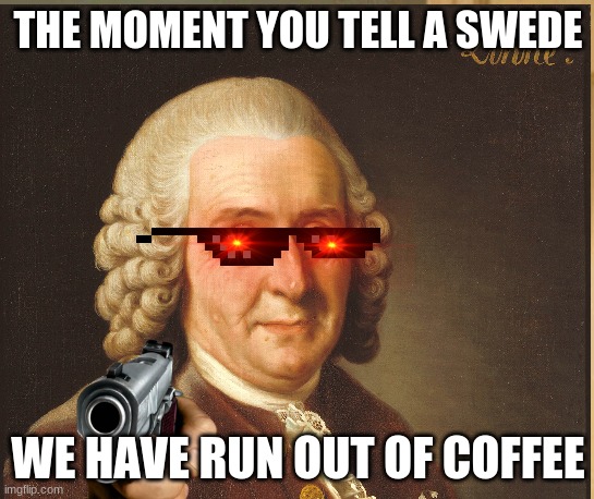 THE MOMENT YOU TELL A SWEDE; WE HAVE RUN OUT OF COFFEE | image tagged in sweden | made w/ Imgflip meme maker