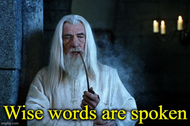 Wise words are spoken  | Wise words are spoken | image tagged in wise words are spoken | made w/ Imgflip meme maker