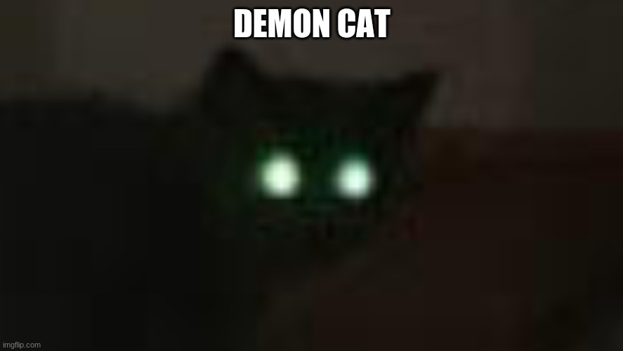 uhh... so I took a picture of my cat in a dark place with flash on | DEMON CAT | image tagged in meme | made w/ Imgflip meme maker