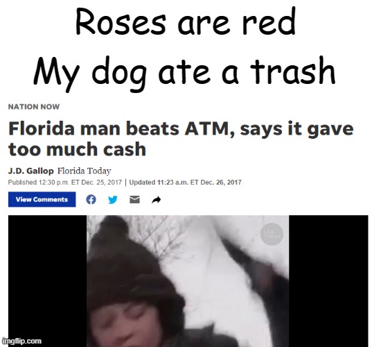 florida best country :3 | Roses are red; My dog ate a trash | image tagged in memes,funny memes,florida man,gifs,oh wow are you actually reading these tags | made w/ Imgflip meme maker