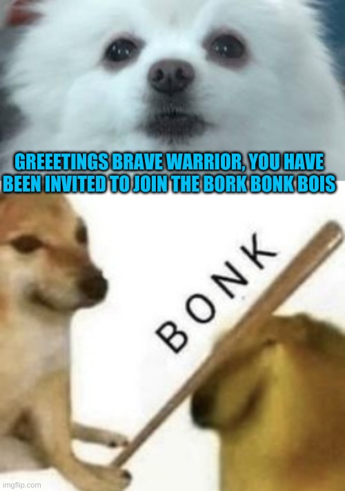 bork bonk bois unite | GREEETINGS BRAVE WARRIOR, YOU HAVE BEEN INVITED TO JOIN THE BORK BONK BOIS | image tagged in bork,bonk | made w/ Imgflip meme maker