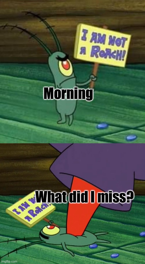 Plankton gets stepped on | Morning; What did I miss? | image tagged in plankton gets stepped on | made w/ Imgflip meme maker