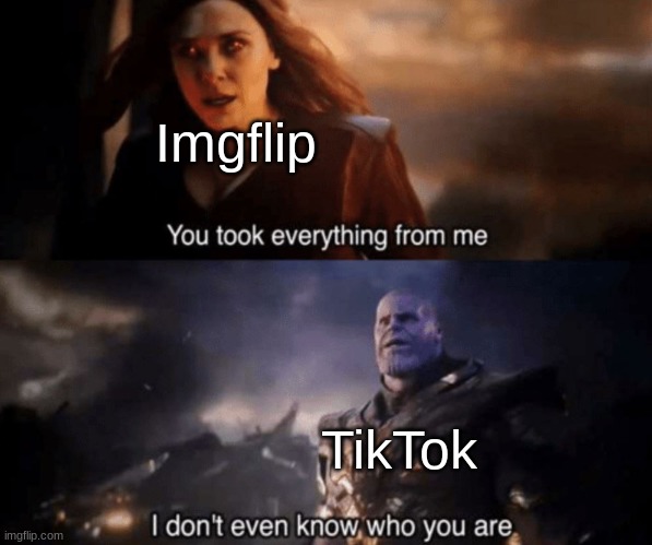 <insert title here> |  Imgflip; TikTok | image tagged in you took everything from me - i don't even know who you are | made w/ Imgflip meme maker