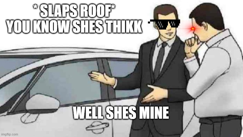 THIKK | * SLAPS ROOF* YOU KNOW SHES THIKK; WELL SHES MINE | image tagged in memes,car salesman slaps roof of car | made w/ Imgflip meme maker