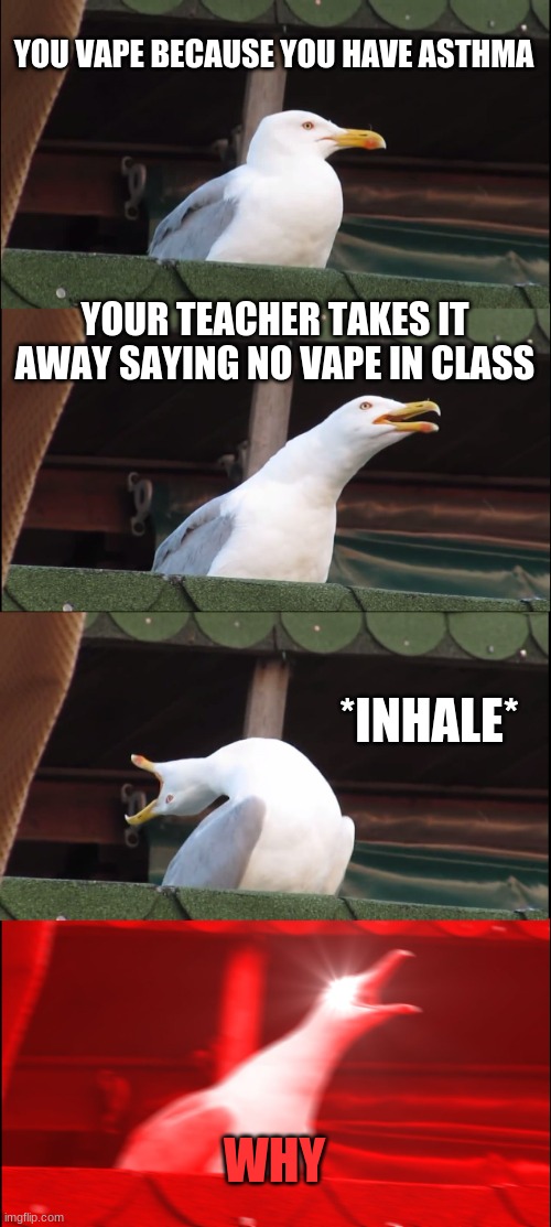 asthma | YOU VAPE BECAUSE YOU HAVE ASTHMA; YOUR TEACHER TAKES IT AWAY SAYING NO VAPE IN CLASS; *INHALE*; WHY | image tagged in memes,inhaling seagull | made w/ Imgflip meme maker