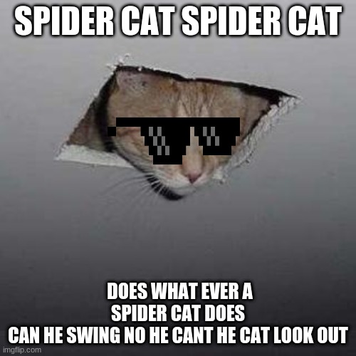 Ceiling Cat | SPIDER CAT SPIDER CAT; DOES WHAT EVER A SPIDER CAT DOES
CAN HE SWING NO HE CANT HE CAT LOOK OUT | image tagged in memes,ceiling cat | made w/ Imgflip meme maker