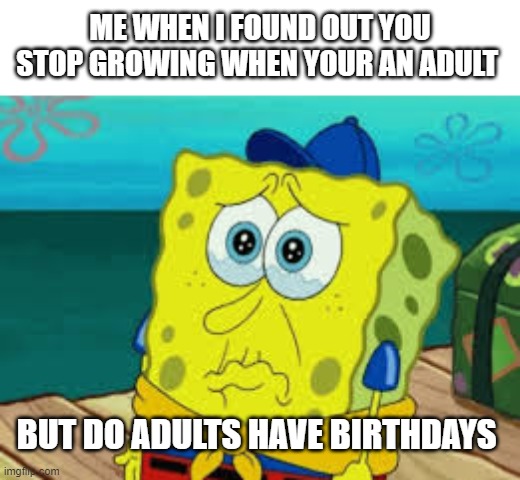 na na na na, na na na na, na na na na, AAAAAAAAAAAAAAAYYYYY GOOOOOODBYE | ME WHEN I FOUND OUT YOU STOP GROWING WHEN YOUR AN ADULT; BUT DO ADULTS HAVE BIRTHDAYS | image tagged in spongebob cry | made w/ Imgflip meme maker