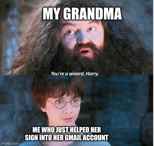 You're a wizard Harry | MY GRANDMA; ME WHO JUST HELPED HER SIGN INTO HER GMAIL ACCOUNT | image tagged in you're a wizard harry | made w/ Imgflip meme maker