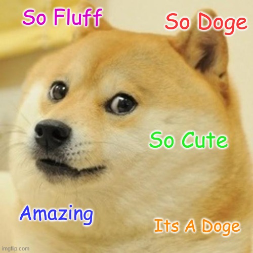 Doge | So Fluff; So Doge; So Cute; Amazing; Its A Doge | image tagged in memes,doge | made w/ Imgflip meme maker