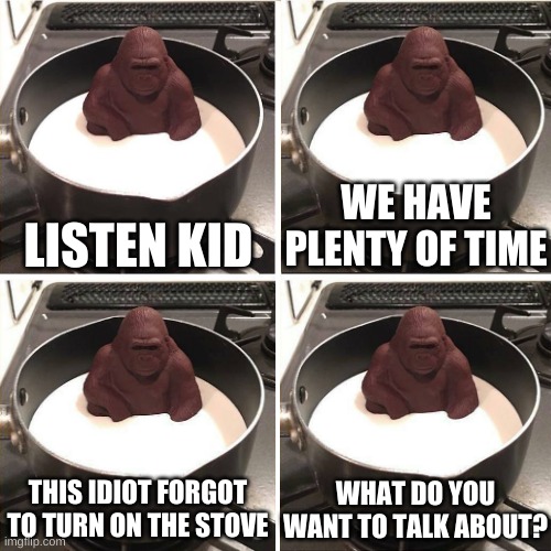 huh. | WE HAVE PLENTY OF TIME; LISTEN KID; THIS IDIOT FORGOT TO TURN ON THE STOVE; WHAT DO YOU WANT TO TALK ABOUT? | image tagged in memes,funny,chocolate gorilla,hey kid i don't have much time | made w/ Imgflip meme maker
