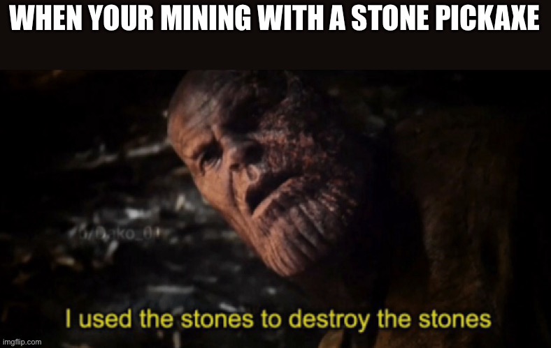 Lel | image tagged in i used the stones to destroy the stones | made w/ Imgflip meme maker
