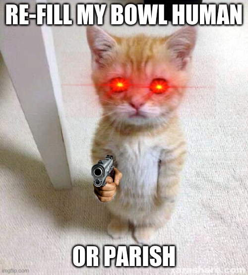 Cute Cat Meme | RE-FILL MY BOWL HUMAN; OR PARISH | image tagged in memes,cute cat | made w/ Imgflip meme maker